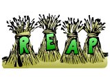 Sheaves with `Reap`
